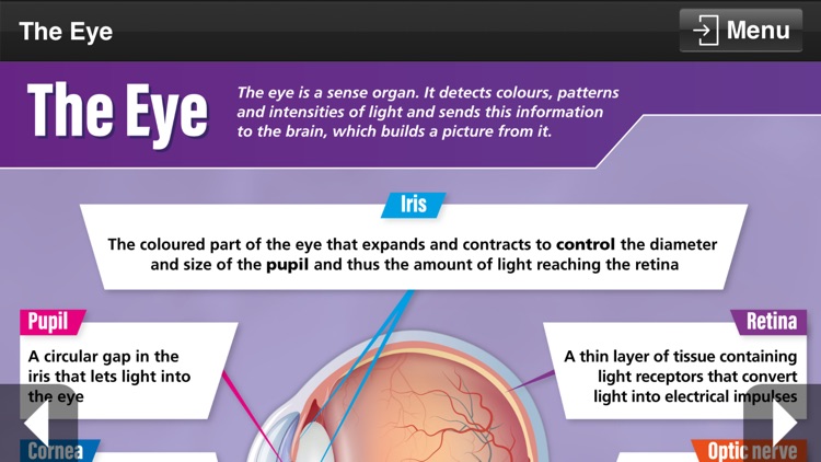 Biology GCSE screenshot-7