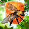 Bee Factory 3D