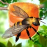 Get Bee Factory 3D for iOS, iPhone, iPad Aso Report