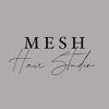 The Mesh Hair Studio