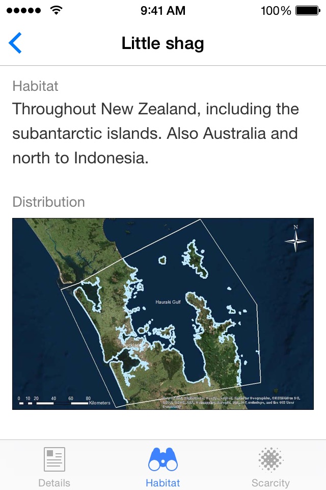 New Zealand Marine Life screenshot 3