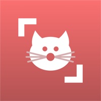 Cat Scanner app not working? crashes or has problems?