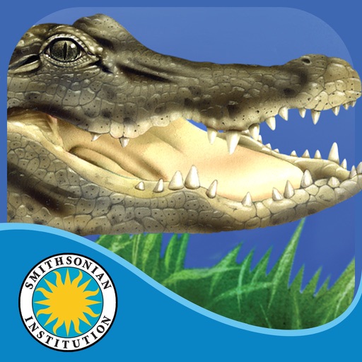Alligator at Saw Grass Road iOS App