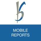 Top 20 Business Apps Like B&S Reports - Best Alternatives