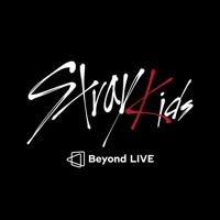 Stray Kids AR Reviews