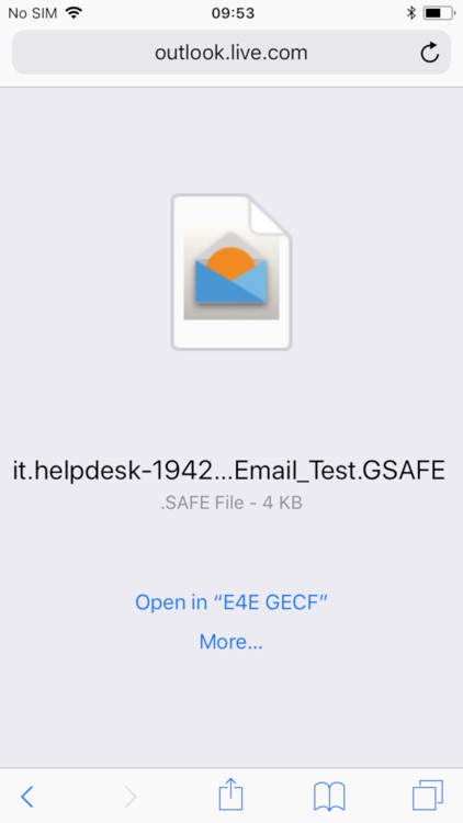 GECF Secure Email screenshot-3