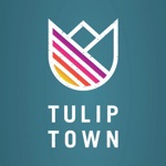 Tulip Town 360 Tour