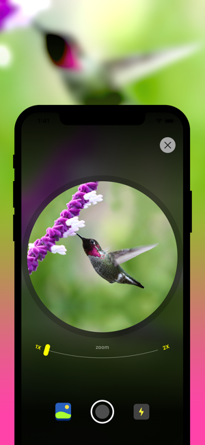 ‎Bird Identification Screenshot