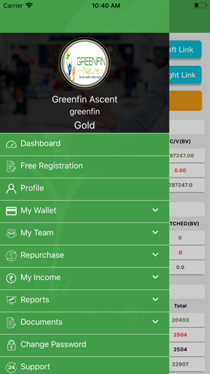 GreenfinAscent(圖3)-速報App