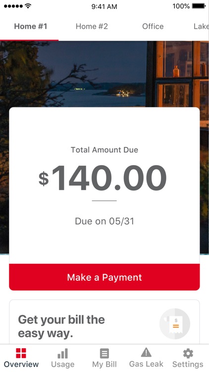 Michigan Gas Utilities (MGU)