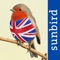 Bird population size UK, abundance UK, migration and breeding status - for all 594 species ever recorded in the UK - incl