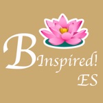 B Inspired ES