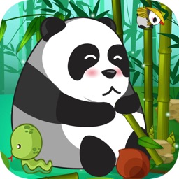 Panda's Adventure