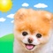 Smile every time you check the weather with Boo