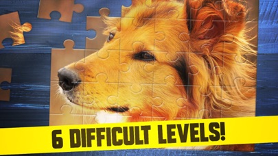 Cute Dogs Puppy Jigsaw Puzzle screenshot 3