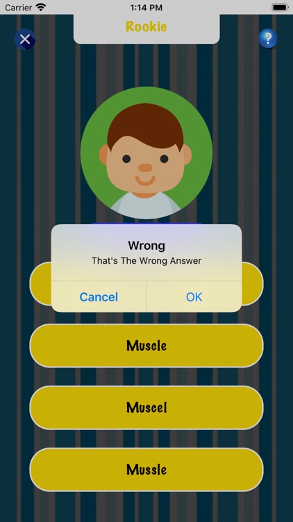 Spelling Training App screenshot-3