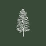 Evergreen Healing