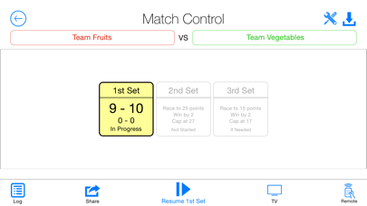 Volleyball Referee: screenshot1