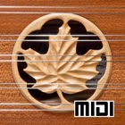 Top 20 Music Apps Like D550 MIDI - Hammered Dulcimer MIDI Controller - Dusty Strings Edition - Best Alternatives