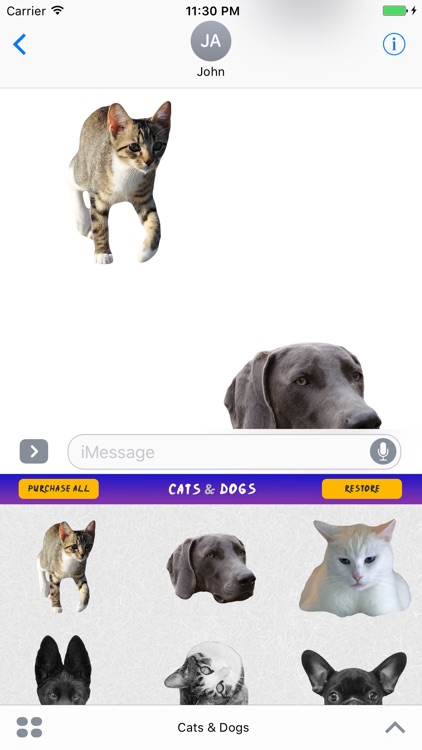 Cats and Dogs Message Stickers