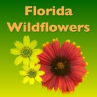 Top 27 Reference Apps Like Southern Florida Wildflowers - Best Alternatives