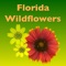 Another app in our Florida Wildlife series