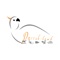 Parrot Land App, Bilingual online direct shopping of pet products and accessories in Saudi Arabia and the Gulf countries