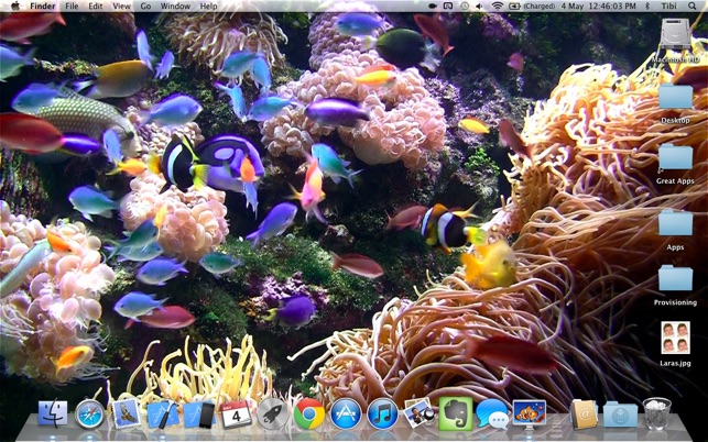 水族館デスクトップライブ壁紙 をmac App Storeで