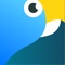 Macaw is the easiest way to get work done