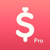 Minibudget Pro sur PC