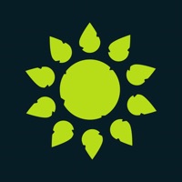 Wilderless на пк