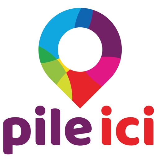 PILE ICI Services