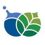 علوم الكيماويات