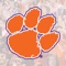 This is the official Fan-Engagement App of the Clemson Tigers, an interactive tool that enhances the game-day atmosphere for a variety of Tigers’ sporting events