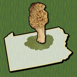 Allegheny Mushroom Forager PA
