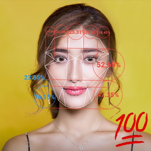 Beauty-Score, Gesichtsanalyse