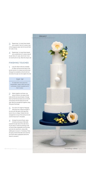 Wedding Cakes Magazine(圖5)-速報App