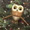 Children will enjoy seeing Rocky Owl animate in their real world environment and hearing the sound of his toot toot call