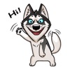 Husky Dog Funny Stickers