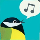 Top 11 Entertainment Apps Like Birdie Memory - Best Alternatives