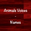 Animals Voices - Names