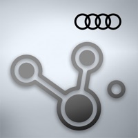 Audi RSE Remote apk