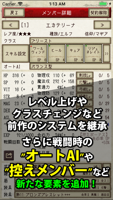 ナイト・アンド・ドラゴン2 - 狂乱の時代 - screenshot1