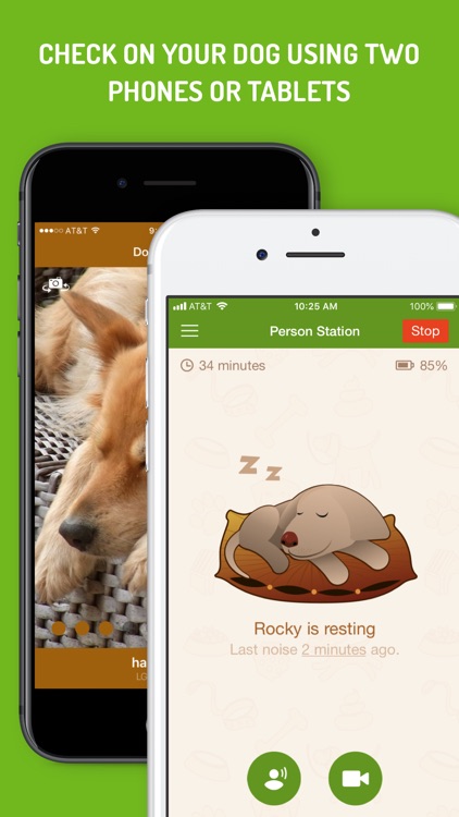 Dog Monitor