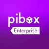 Pibox Enterprise