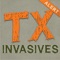 Icon Texas Invaders