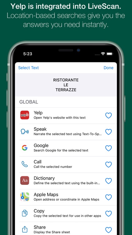 LiveScan: Grab Text in Images screenshot-4