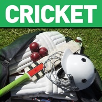 Cricket Summer Guide apk