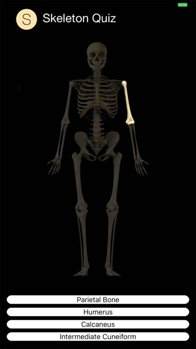 Human Skeleton Quiz screenshot 4