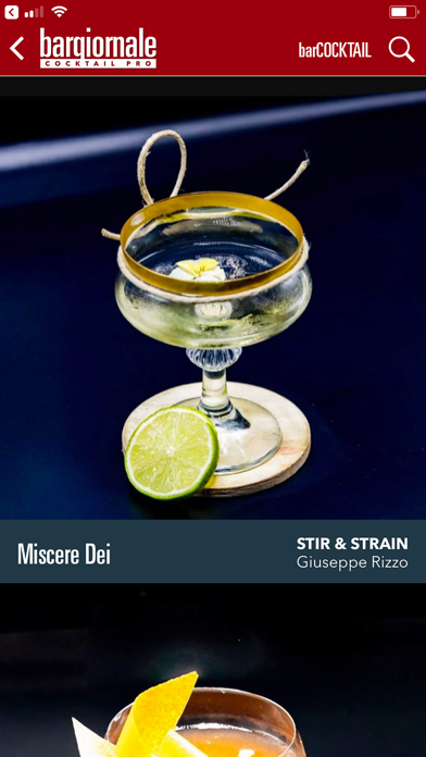 Bargiornale Cocktail Pro screenshot 3